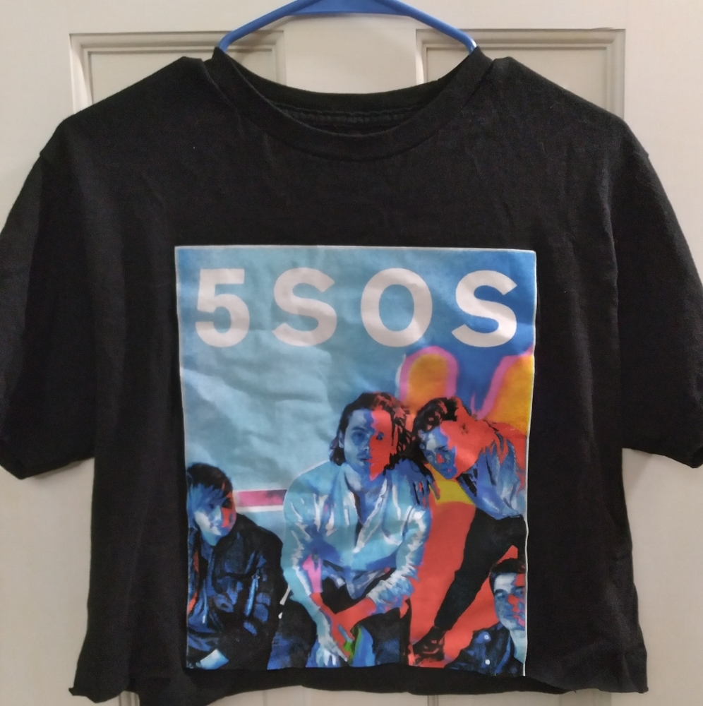 Five Seconds of Summer Crop Top